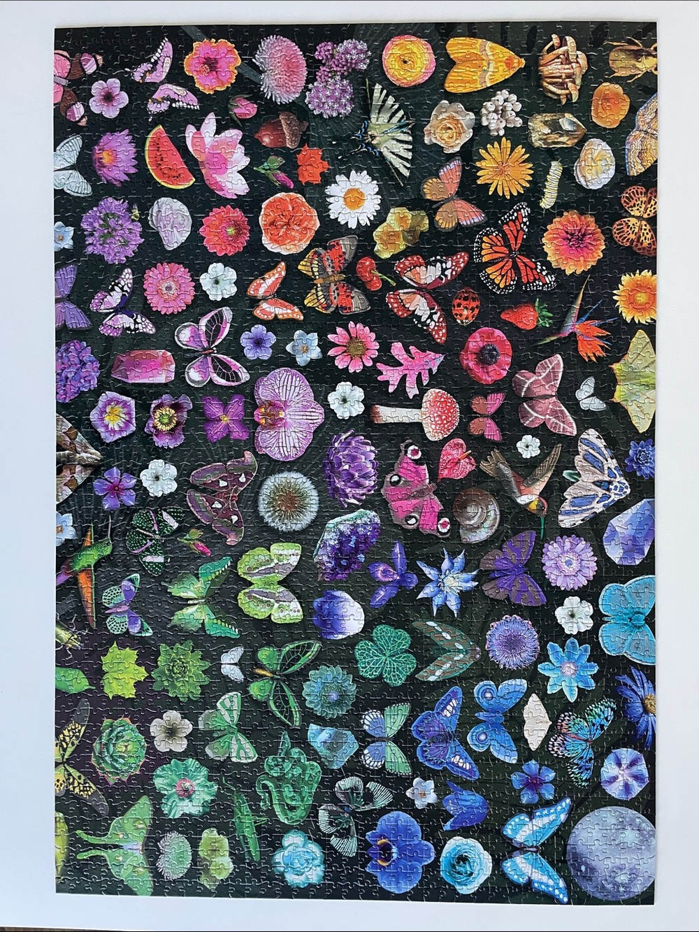 BOGO BUFFALO Colorful Floral & Butterfly PUZZLE– Multicolor 2000 pcs